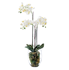 Орхидея Фаленопсис белая (иск.) с мхом, корнями, землёй 85см
