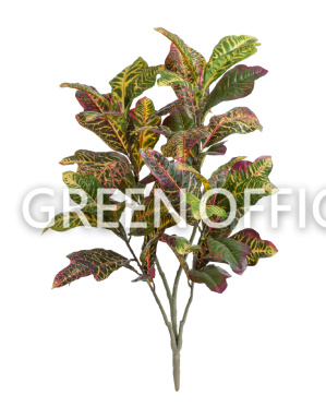 Кротон куст большой зелёно-жёлто-розовый (Sensitive Botanic) - Фото 1