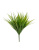 Трава Сворд куст зелёный - Фото 1