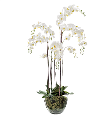 Орхидея Фаленопсис белая (иск.) с мхом, корнями, землёй 150см