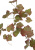 Виноградная гирлянда зеленая с прожилками бордо - Фото 2
