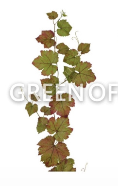Виноградная гирлянда зеленая с прожилками бордо - Фото 1